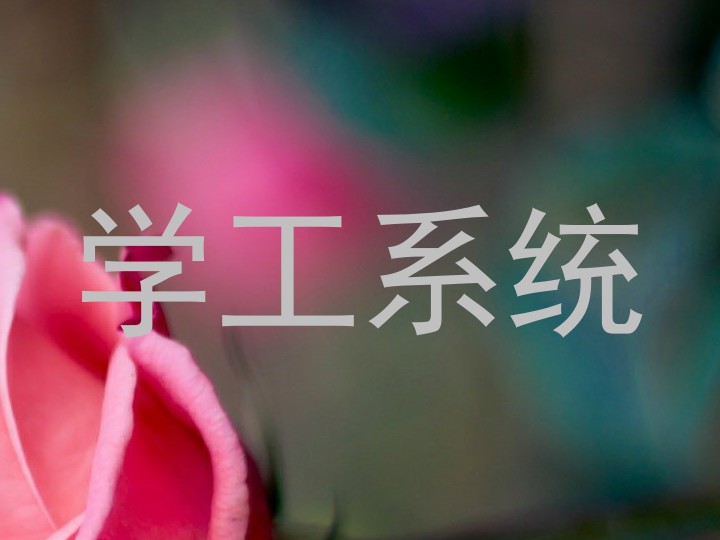 学工系统