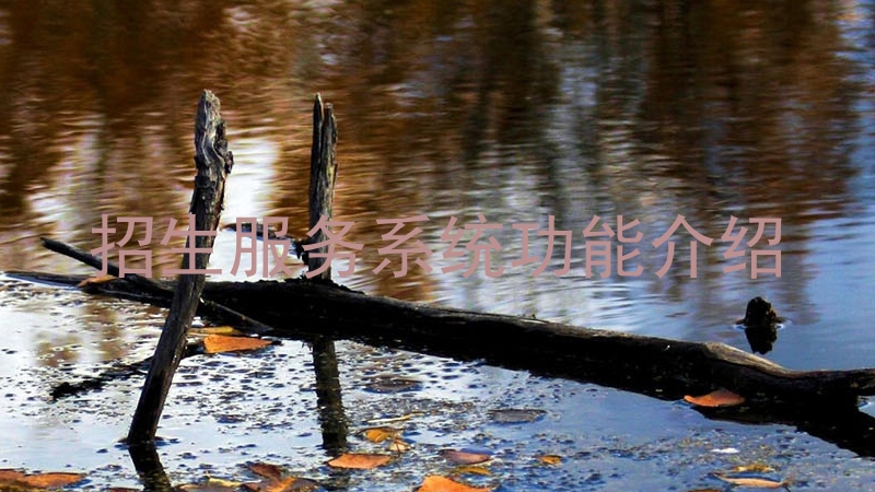 招生服务系统功能介绍