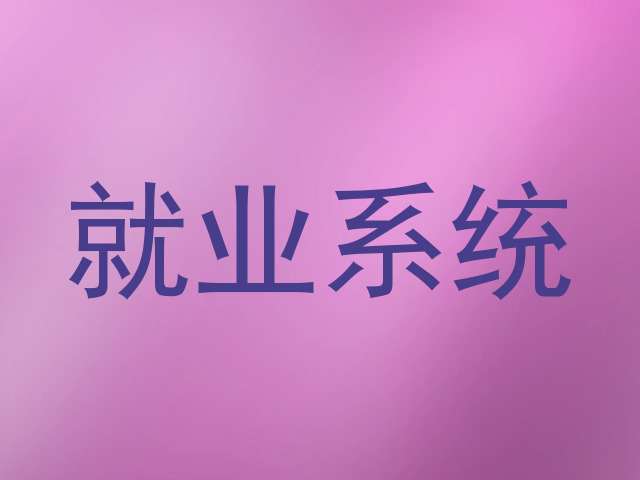 就业系统