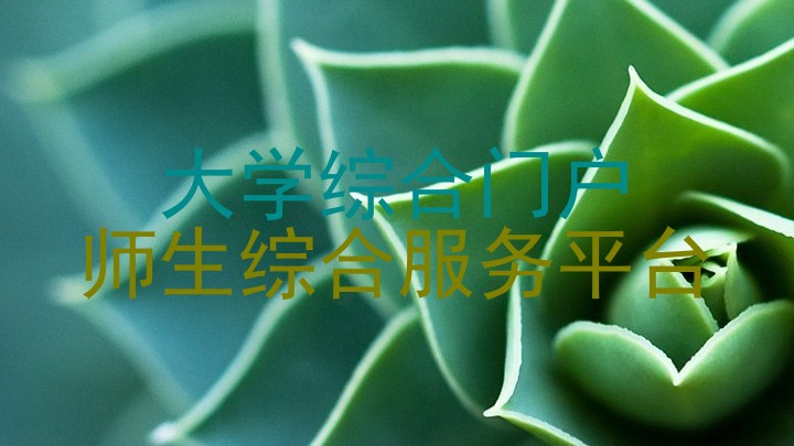大学综合门户|师生综合服务平台