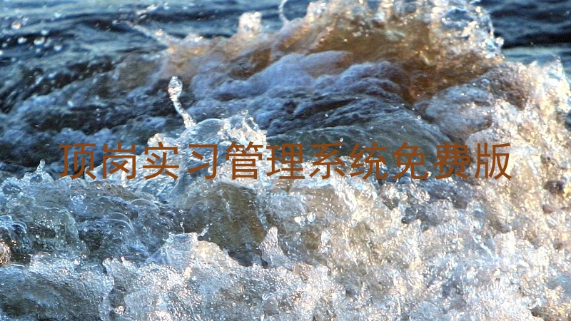 顶岗实习管理系统免费版