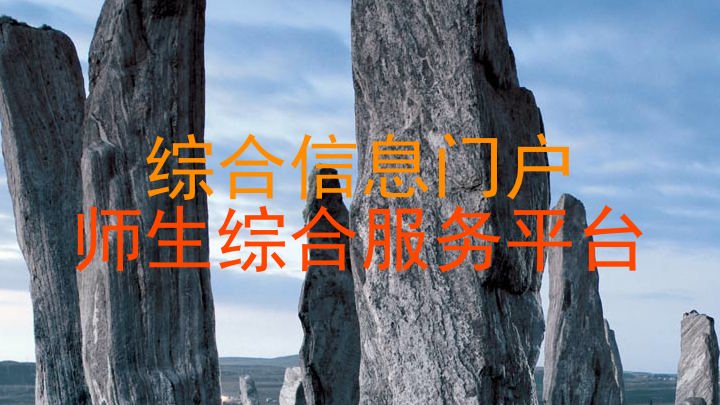 综合信息门户|师生综合服务平台