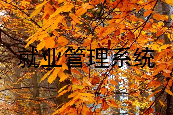就业管理系统