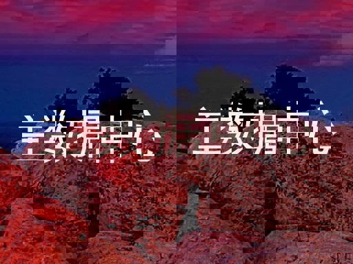 主数据中心