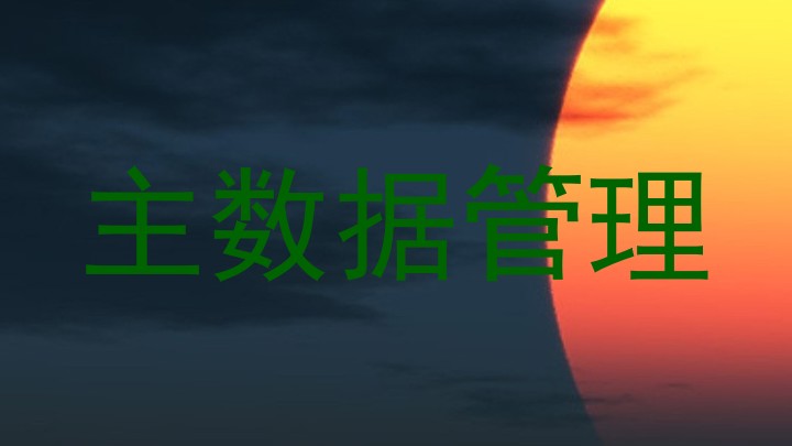 主数据管理