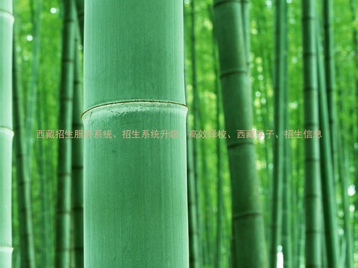 西藏招生服务系统、招生系统升级、高效择校、西藏学子、招生信息