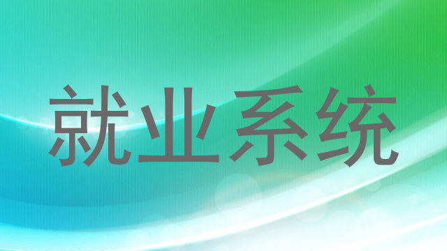 就业系统