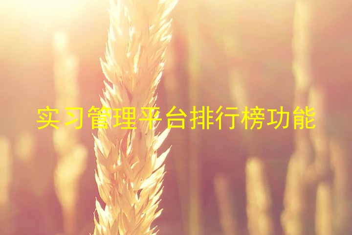 实习管理平台排行榜功能