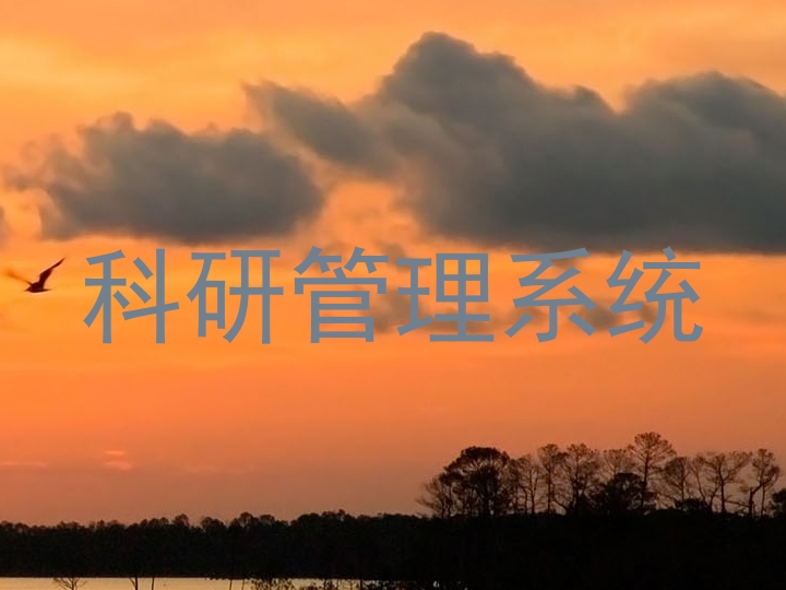 科研管理系统