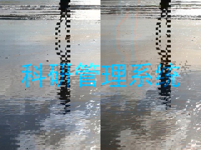 科研管理系统