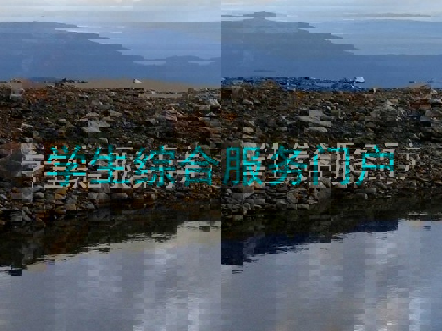 学生综合服务门户