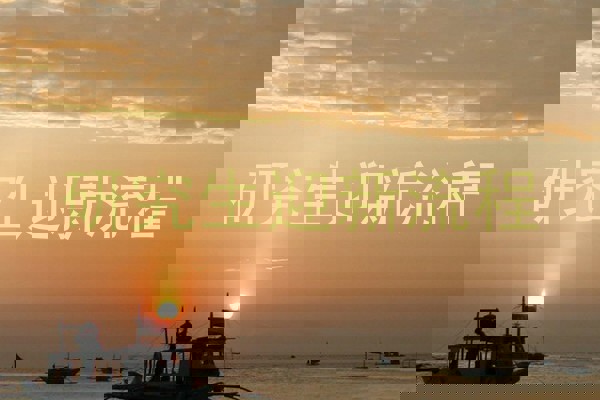 研究生迎新流程