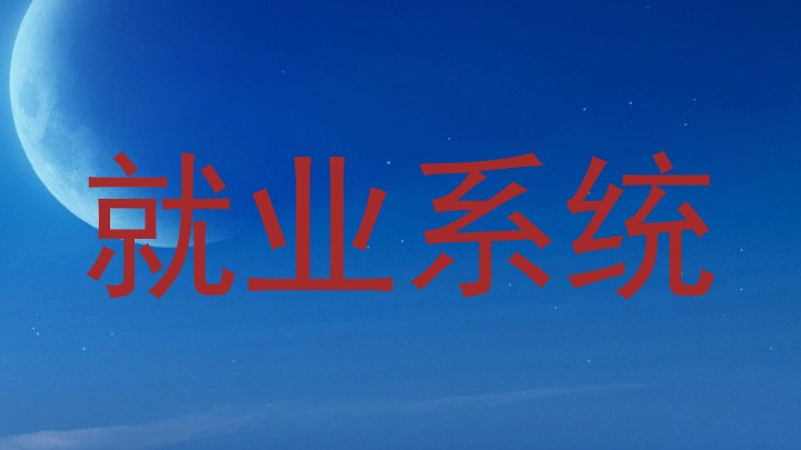 就业系统