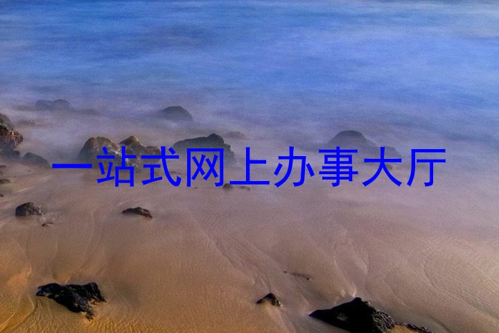 一站式网上办事大厅