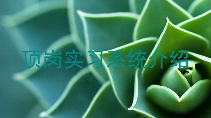 顶岗实习系统介绍