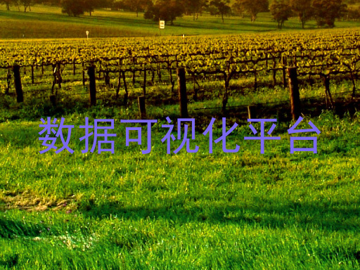 数据可视化平台