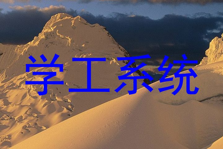 学工系统