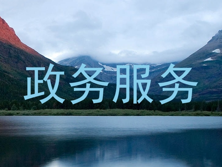 政务服务