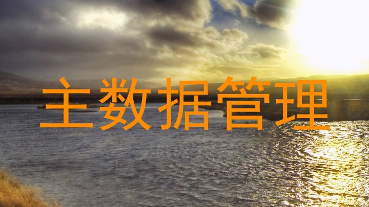 主数据管理