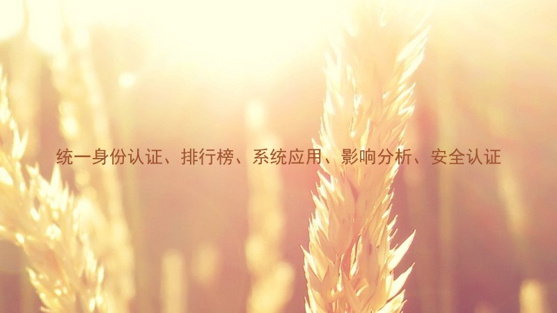 统一身份认证、排行榜、系统应用、影响分析、安全认证