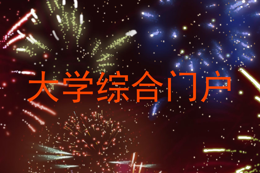 大学综合门户