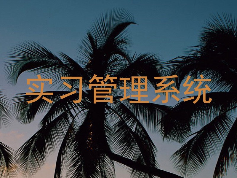实习管理系统