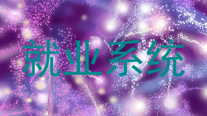 就业系统