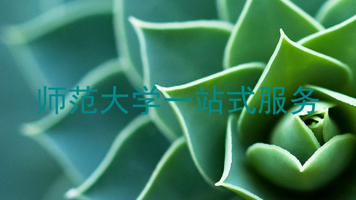 师范大学一站式服务