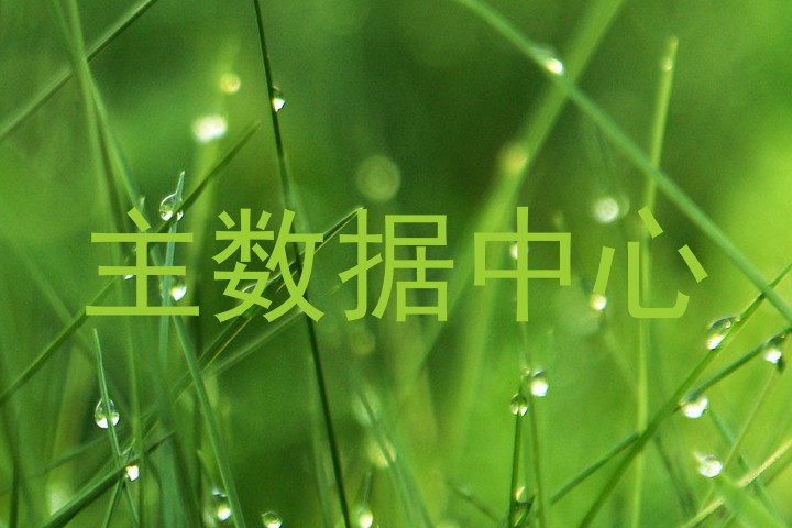 主数据中心