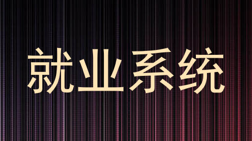 就业系统