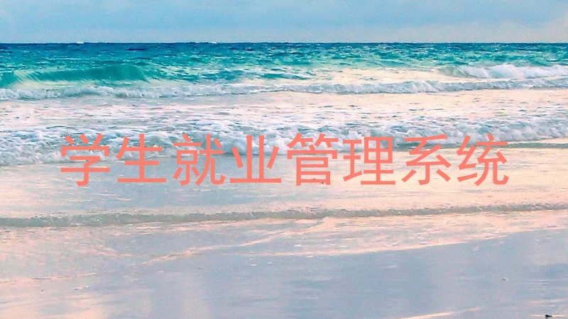 学生就业管理系统