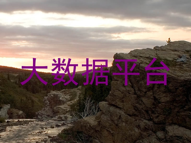 大数据平台