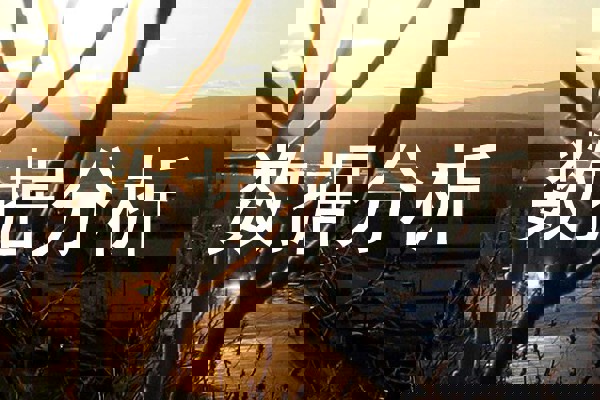 数据分析