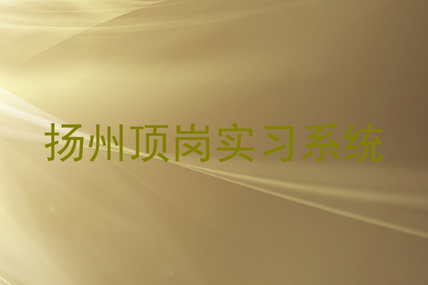 扬州顶岗实习系统