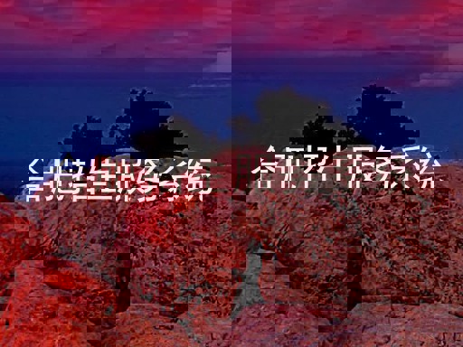 合肥招生服务系统