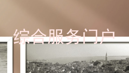 综合服务门户