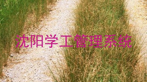 沈阳学工管理系统