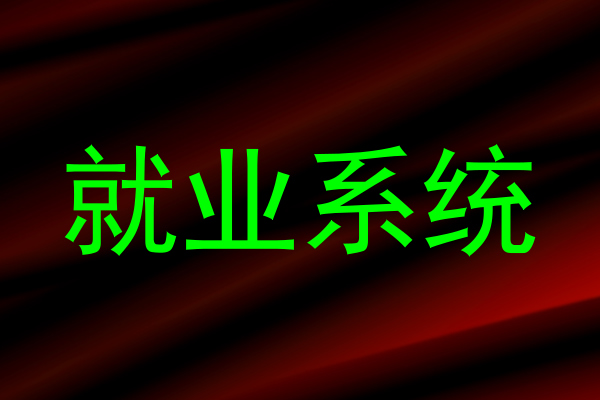 就业系统