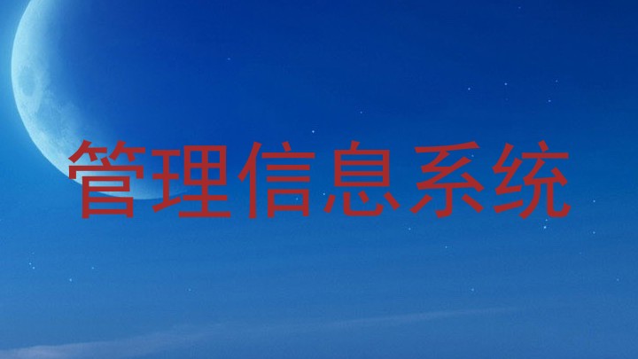 管理信息系统