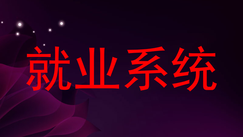 就业系统