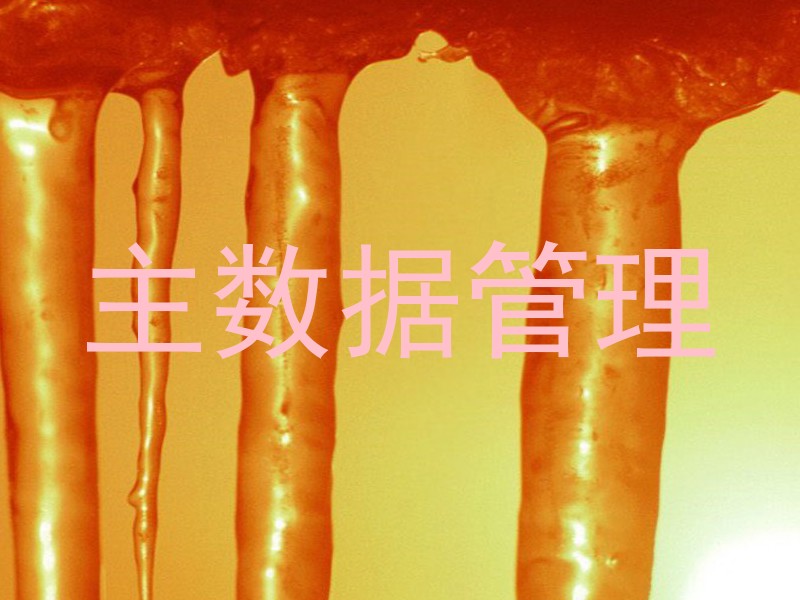 主数据管理