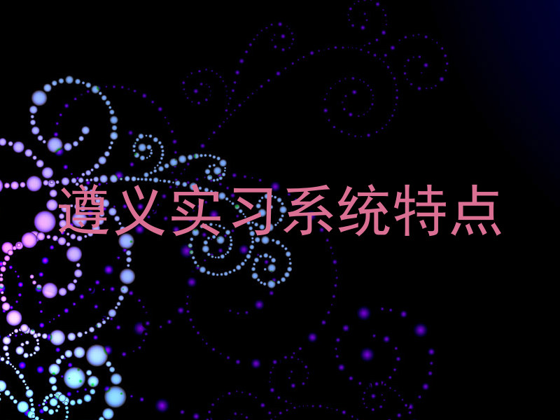 遵义实习系统特点