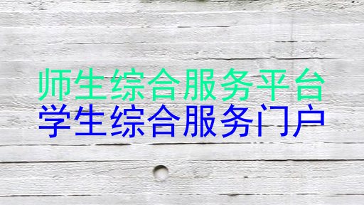 师生综合服务平台|学生综合服务门户