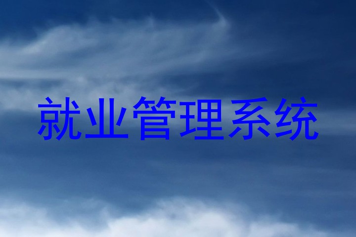 就业管理系统