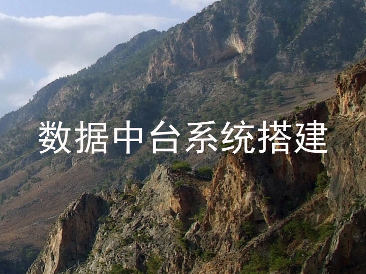 数据中台系统搭建