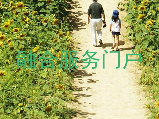融合服务门户