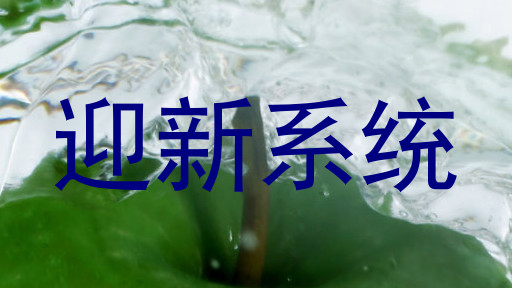 迎新系统
