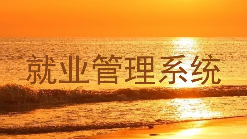 就业管理系统