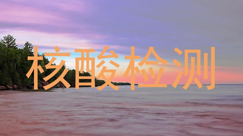 核酸检测