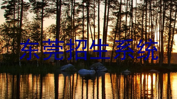 东莞招生系统